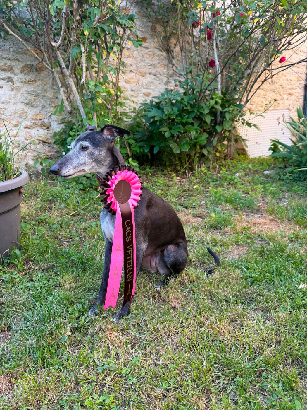CACS Moisson 8 mai 2026