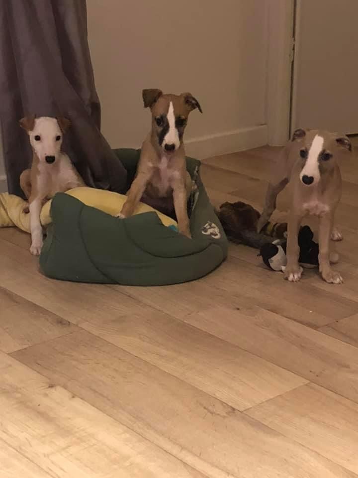 Les bébés 2019 hier et aujourd'hui